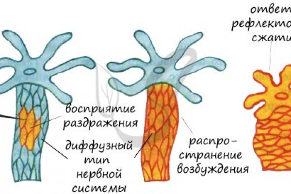 Рабочий кракен