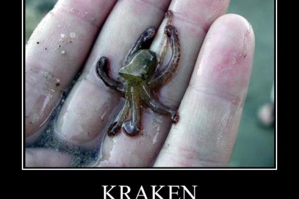 Kraken 2 at